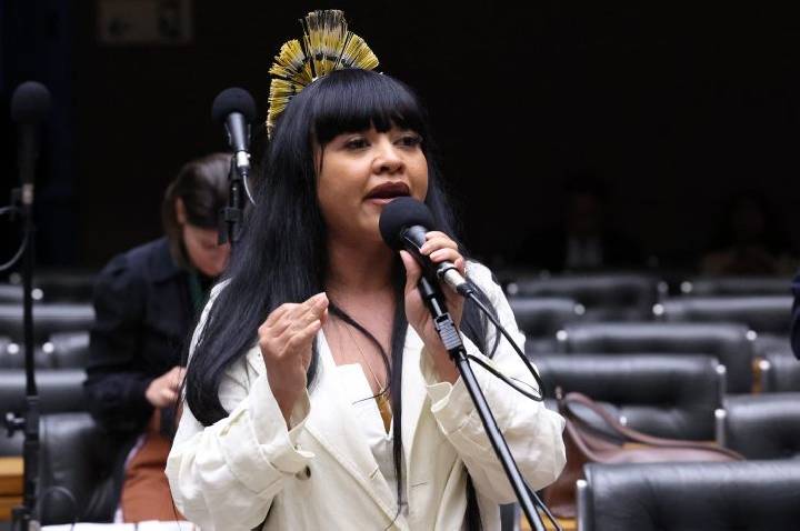 Comissão aprova garantia de direitos e proteção a indígenas LGBTIA+ no Brasil