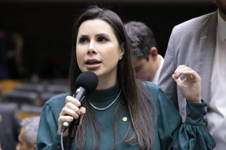 Comissão aprova parâmetros para políticas voltadas a ovinocaprinocultura