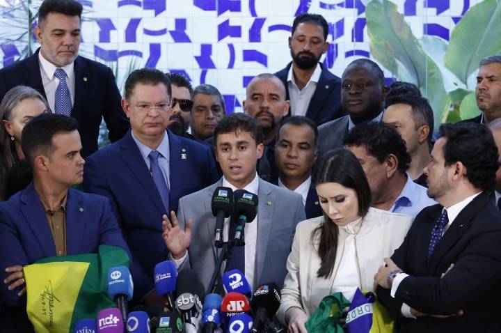 Confira o número de reeleitos, deputados de primeiro mandato e ex-deputados que voltam à Câmara
