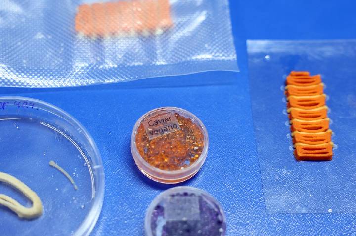 Embrapa produz em laboratório salmão, caviar e anéis de lula veganos