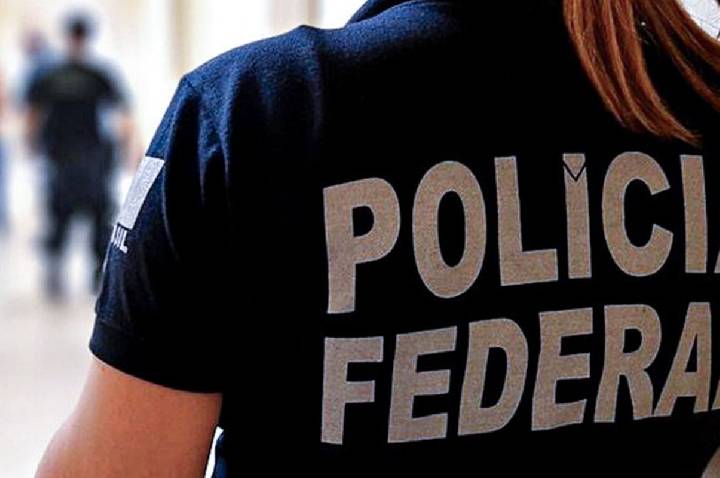 PF faz operação contra fraudes no registro de armas de colecionadores