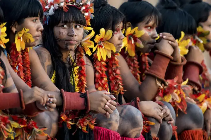 Programa de saúde do governo já atendeu mais de 24 mil indígenas 