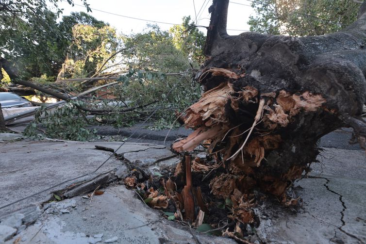 MIDR reconhece situação de emergência em 21 municípios 